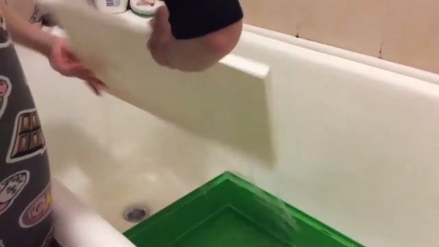 Полная уборка в клетке попугая🐣 смотреть онлайн
