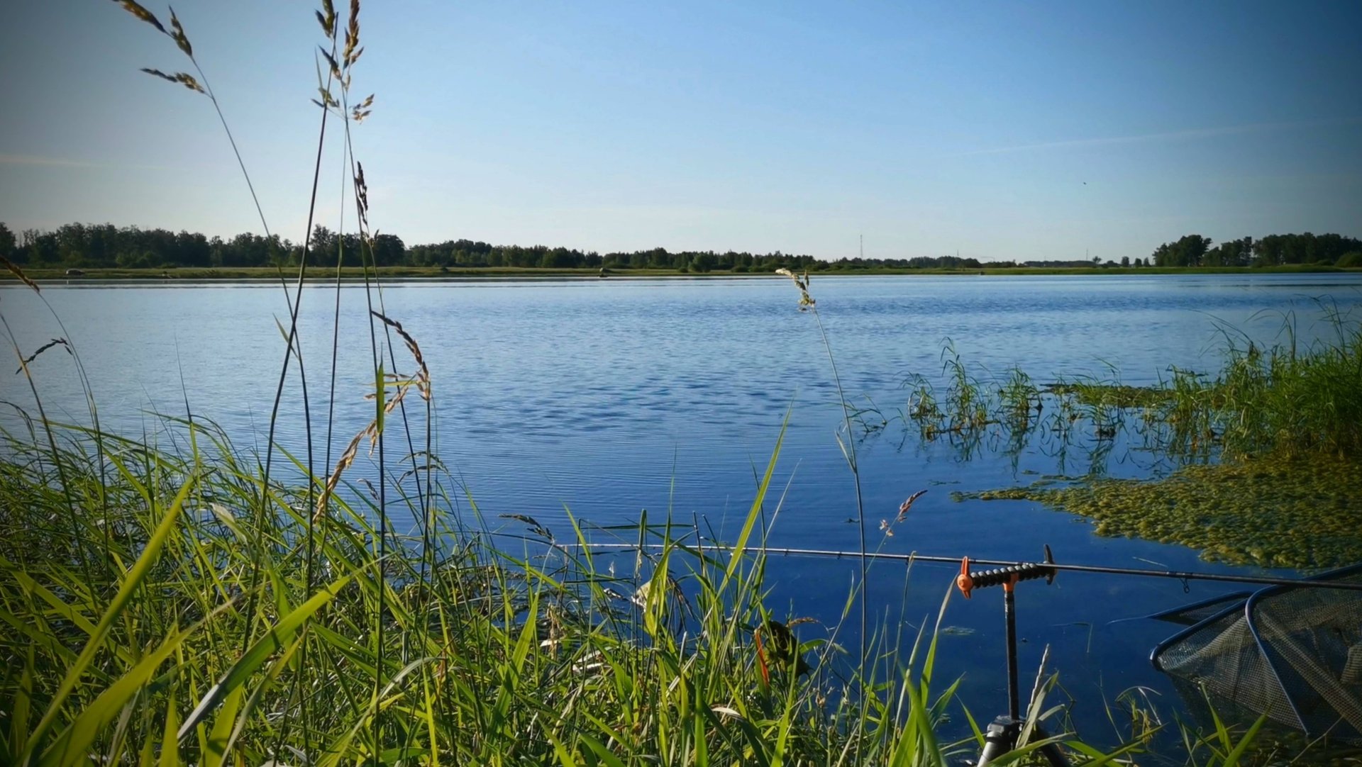 Карась на фидер. Рыбалка на озере весной 2024. смотреть онлайн
