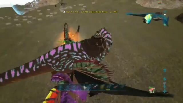 ARK|PVP DOMINATING EVERYONE +DEFENDING CRACK CAVE 💯#kings #doom #logan #ark смотреть онлайн