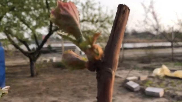 КАРАНТИН ПОДОЖДЁТ релакс-видео(удели себе 9 минут) смотреть онлайн