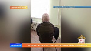 Суд решил, как наказать курьеров телефонных мошенников