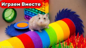 ПОПИТ ЛАБИРИНТ для умного Хомяка ! Выбираем вместе ! Прохожим ЛОВУШКИ ! Видео для детей