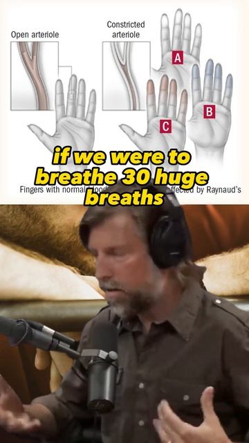 Overbreathing: What It Is, Why It's Bad, and How to Fix It - Joe Rogan & James Nestor #1506 смотреть онлайн