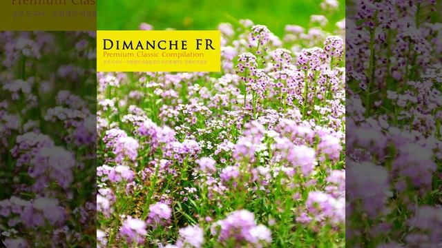 Symphony No.99 In E Flat Major, Hob.I:99 - IV. Finale смотреть онлайн