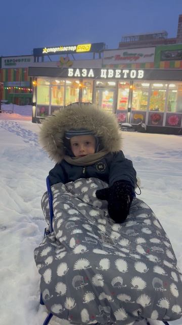 Володя едет на санях в детский сад смотреть онлайн