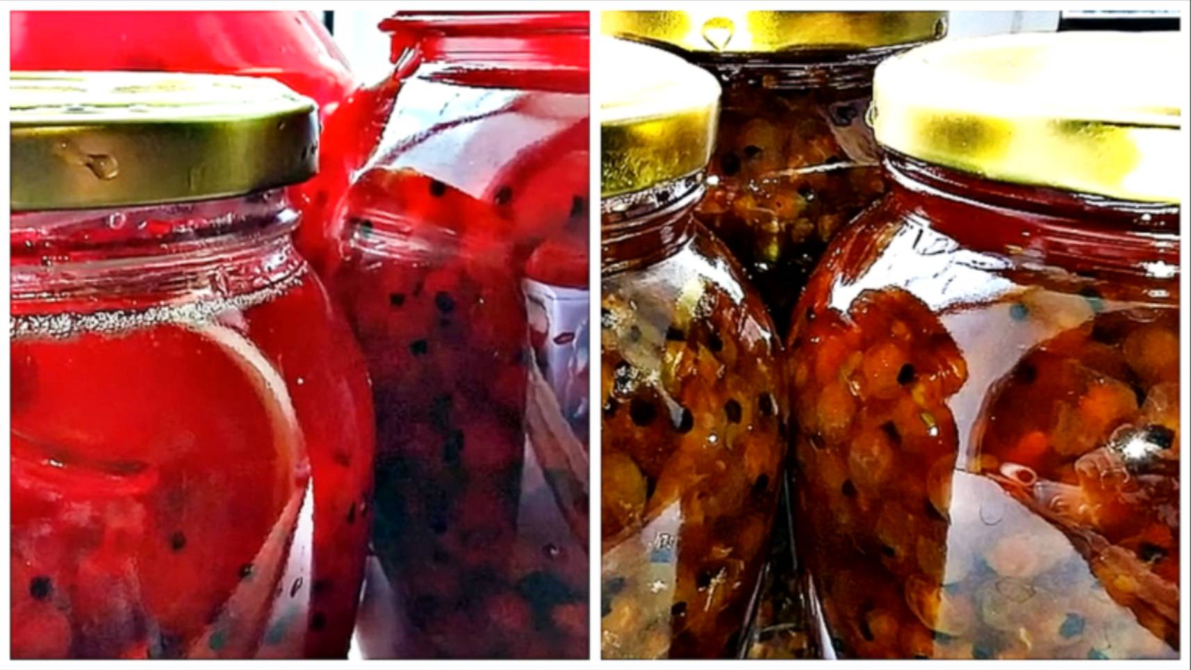 Кулинарные видео-рецепты и многое другое