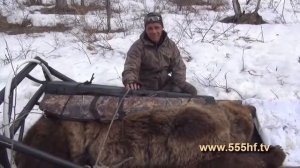 Весенняя охота на медведя