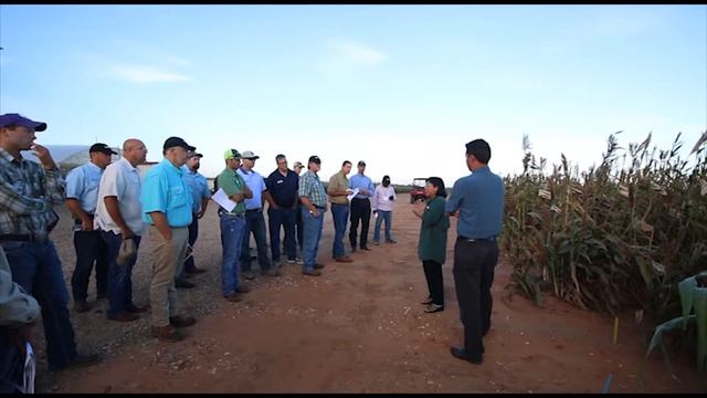 Leadership Sorghum Class III - Session I смотреть онлайн