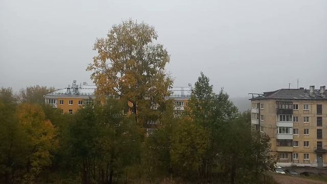 В нашем городе вновь первый снег