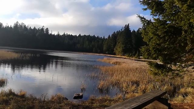 И снова на Чёрном озере. смотреть онлайн