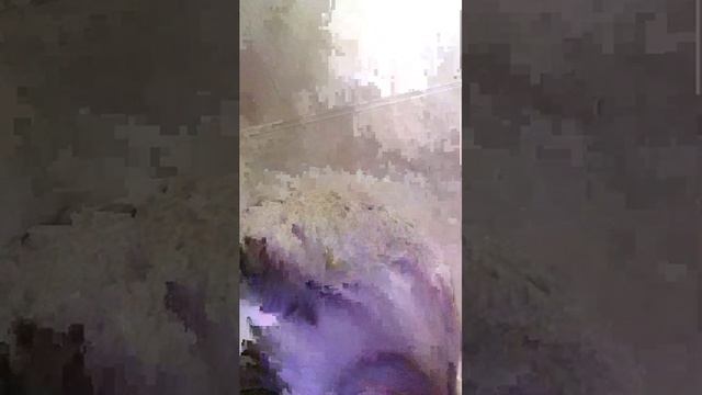 обычный стрим смотреть онлайн