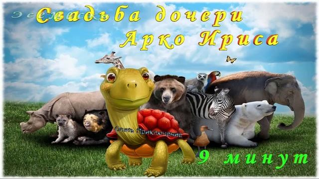 Свадьба Дочери Арко Ириса - Африканские сказки смотреть онлайн