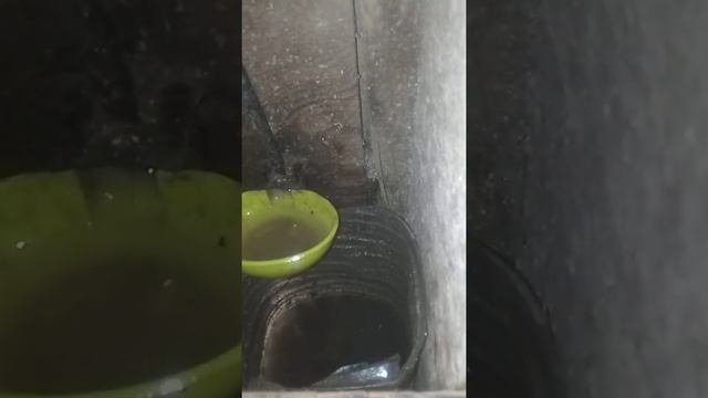 Организация воды ,для пернатых... смотреть онлайн