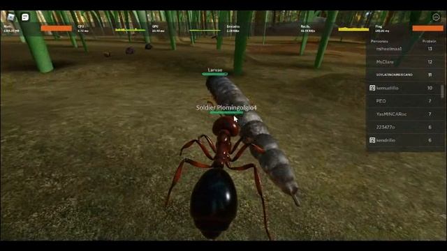 ANT LIFE BETA TESTING , THE LIFE OF ANTS ( Solenopsis Invicta 7 EPISODE ) NEXT TO THE ENEMIES смотреть онлайн
