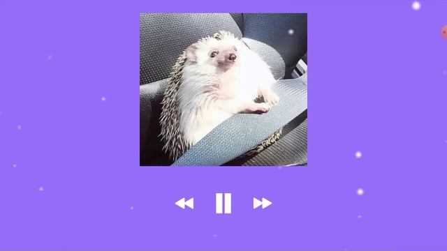 песни для уборки, мытья, готовки