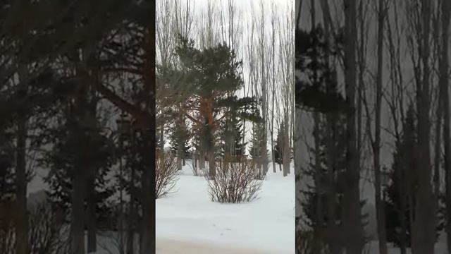 Активация ДНК отзывы смотреть онлайн