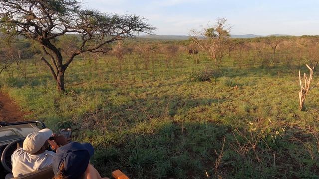 Black Rhinoceros Charging