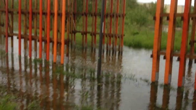 Парк Братеевская пойма утонул после дождя смотреть онлайн