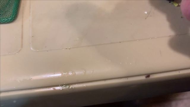 Пруд в гараже.Посадка семян лотоса.Продолжение. смотреть онлайн