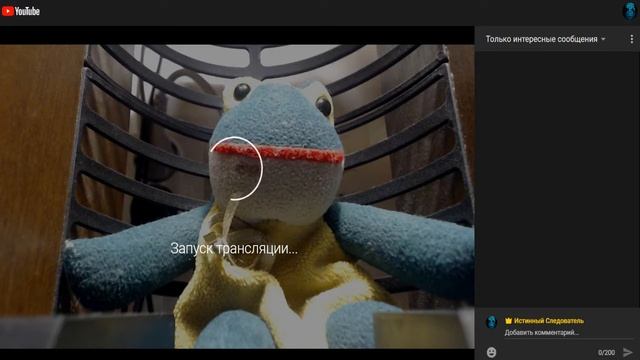 Прямой эфир с вебкамеры на ЮТЮБ новый вид смотреть онлайн