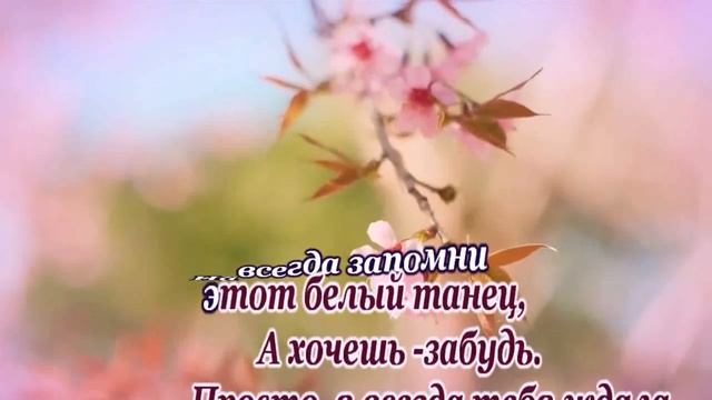 София Ротару -Белый танец- караоке