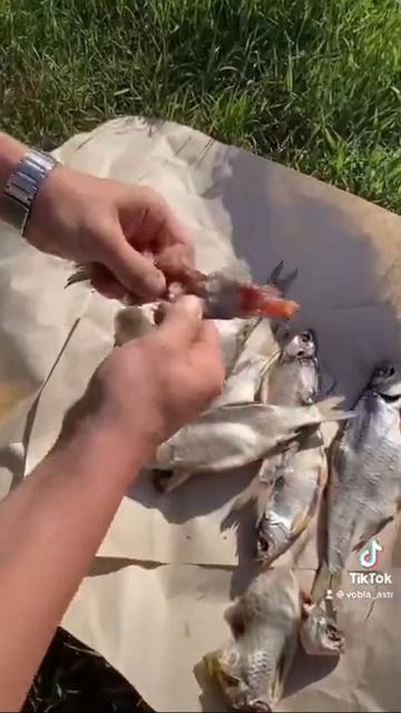 Захотелось Астраханской воблы!? Закажи у нас!🔥