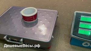 Профит 200 R 30х40 радиоканал | Весы товарные
