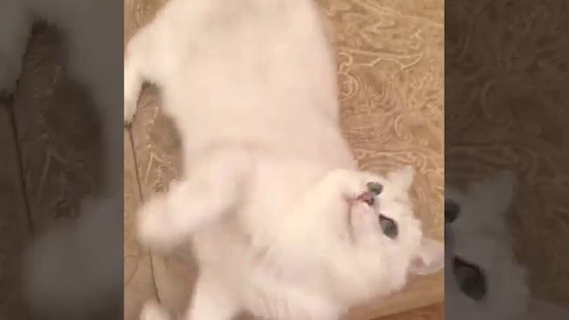 Когда ты накурился смотреть онлайн