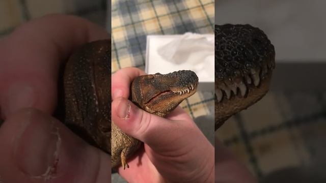 My psno tyrannosaurs rex Figure review ￼ смотреть онлайн
