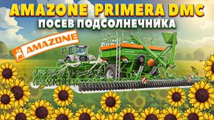 | СЕЯЛКА AMAZONE DMC | СЕЕТ ПОДСОЛНЕЧНИК |