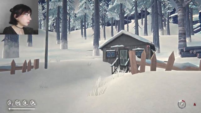 ПЕЩЕРА ЗА ВОДОПАДОМ - The Long Dark #26 смотреть онлайн