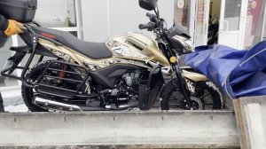 Выдача мопеда PROMAX ALPHA RS-PRO 150 (49) в мотосалоне X-MOTORS г. Архангельск!