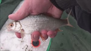 Зимняя Рыбалка на пляже г. Барнаула. Выезд второй