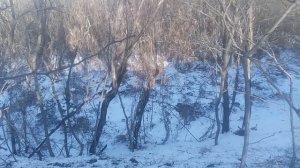 Пёс 3 сезон 8 серия