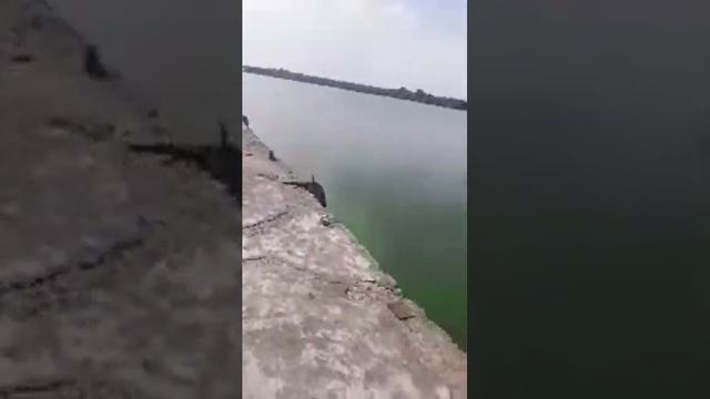 Каховское водохранилище.Никополь. смотреть онлайн