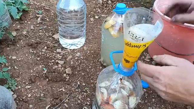 Domates ,Biber,Patlıcana bu gübreyi mutlaka verin verimi iki üç kat arttırin смотреть онлайн