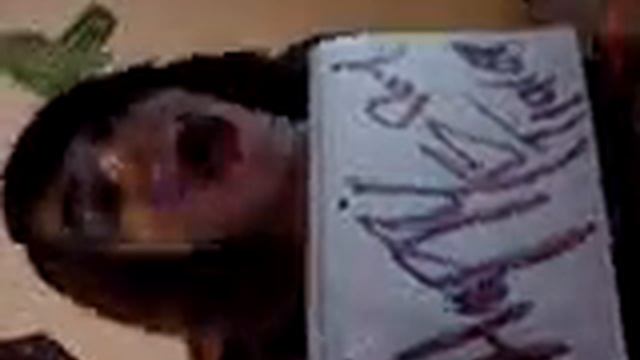 Happy Birthday Tiara!