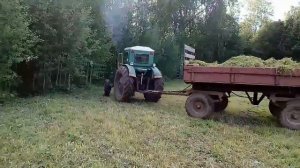 Погрузка и вывоз травы на тракторе Т-40ам.