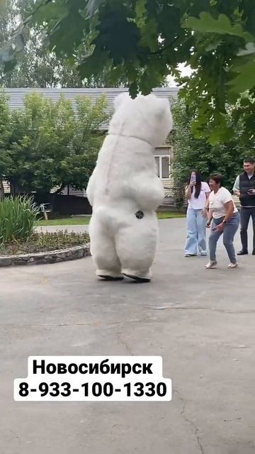 Белый мишка растанцует всех 😁🐻❄️ смотреть онлайн