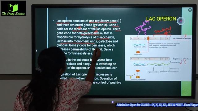 MOLECULAR BASIS OF INHERITANCE II 12TH NCERT BIOLOGY CHAPTER 5, PART 4 II NEET BIOLOGY 2024 смотреть онлайн