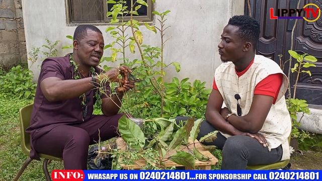 The Use Of Susumasa, Abrewa Katawohu FOR healing The Power Of Herbs смотреть онлайн