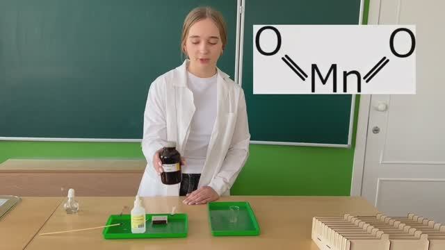 Заурбрай Полина,  Таврический МР