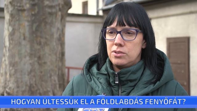 Hogyan ültessük el a földlabdás fenyőfát? смотреть онлайн