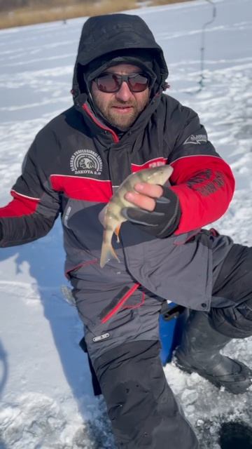 Мормышка - рулит !!! смотреть онлайн