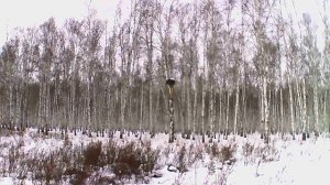 Прокладываем новый маршрут