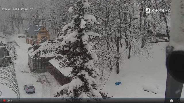 Рица 04 02 2024 смотреть онлайн