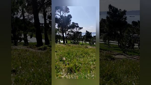 Три муравья смотреть онлайн