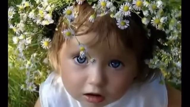 белые лилии смотреть онлайн