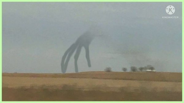 Монстры гиганты Тревора Хендерсона