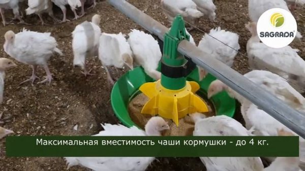 Кормушки для тяжелых индюков | SAGRADA